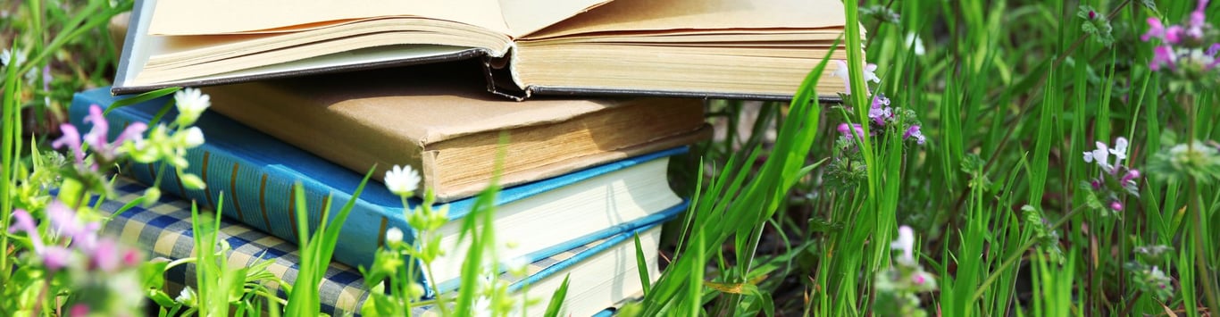 Description of the image